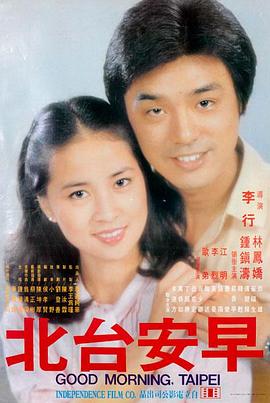 南方来客剧情片在线观看海报